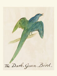 The Dark-Green Bird