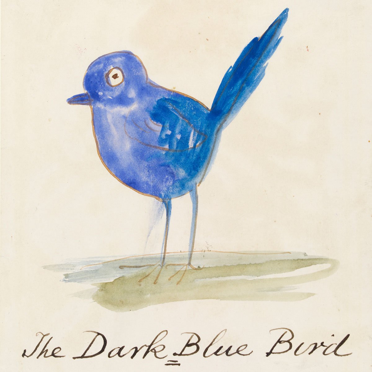 Edward Lear birds prints A watercolour featuring a delicate blue bird.