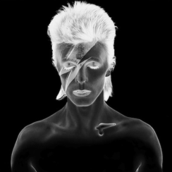 David Bowie