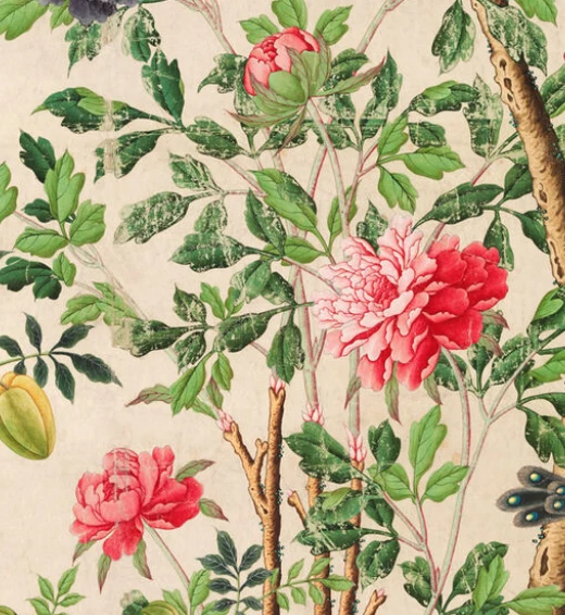 floral-and-still-life